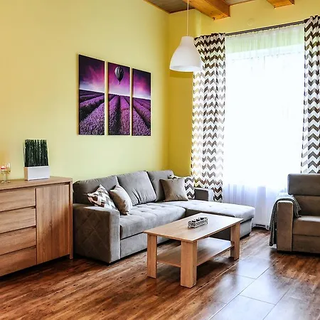 Mountain View - Bezplatny Parking Apartament Krynica-Zdrój
